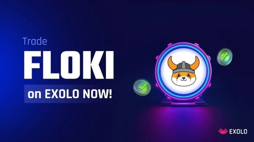 EXOLO Exchange Welcomes FLOKI: The Meme Coin Phenomenon